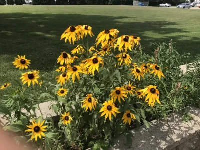 Arisa Health facility