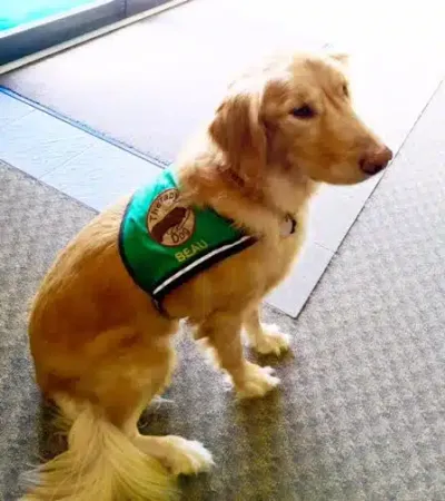 Athens Area Commencement Center facility