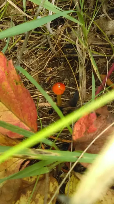 BHG Brainerd Treatment Center facility