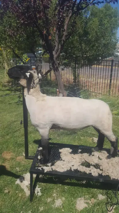 Independence Place facility