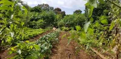 Ka Hale Pomaikai facility