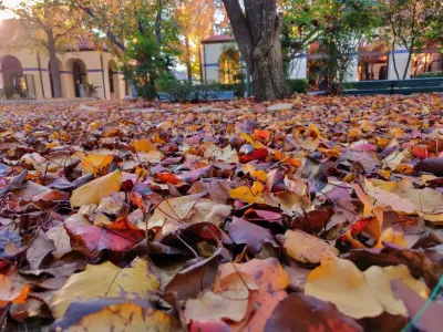 Laurel Ridge Treatment Center facility