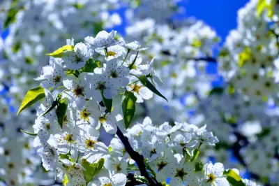 Maine Behavioral Healthcare facility