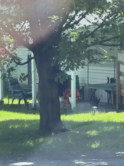 University of Vermont Medical Center facility